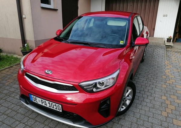 Kia Stonic cena 66700 przebieg: 50000, rok produkcji 2020 z Sławków małe 667